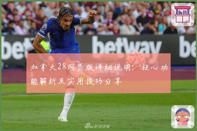 加拿大28网页版详细说明：核心功能解析及实用技巧分享