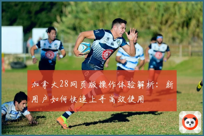加拿大28网页版操作体验解析:新用户如何快速上手高效使用
