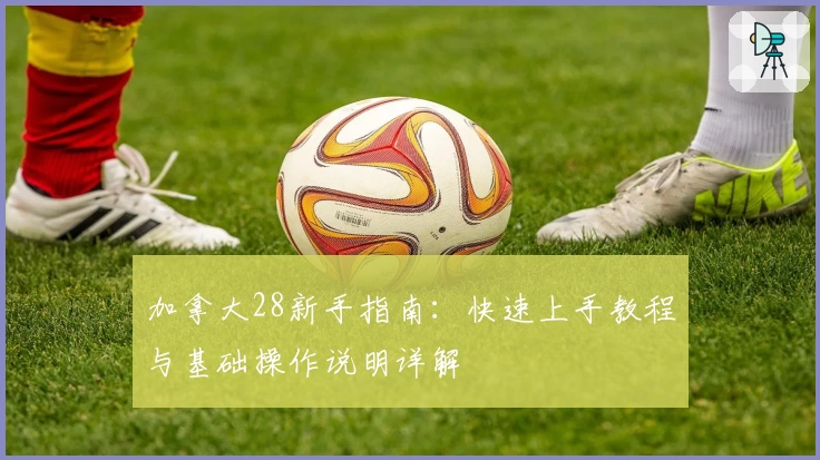 加拿大28新手指南：快速上手教程与基础操作说明详解