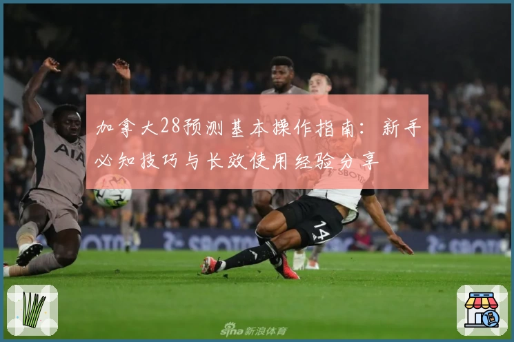 加拿大28预测基本操作指南：新手必知技巧与长效使用经验分享