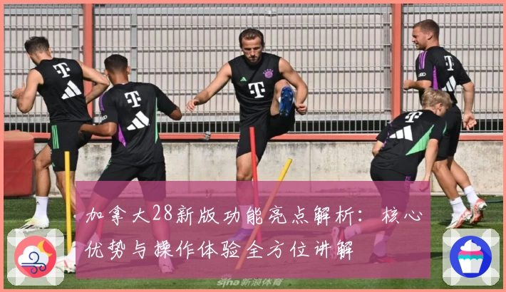 加拿大28新版功能亮点解析:核心优势与操作体验全方位讲解