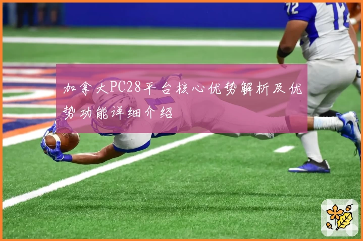 加拿大PC28平台核心优势解析及优势功能详细介绍