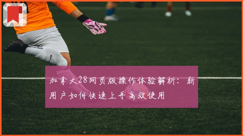 加拿大28网页版操作体验解析：新用户如何快速上手高效使用