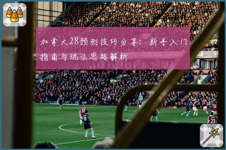 加拿大28预测技巧分享:新手入门指南与玩法思路解析