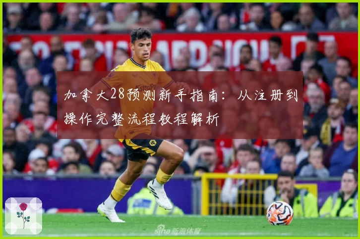 加拿大28预测新手指南：从注册到操作完整流程教程解析