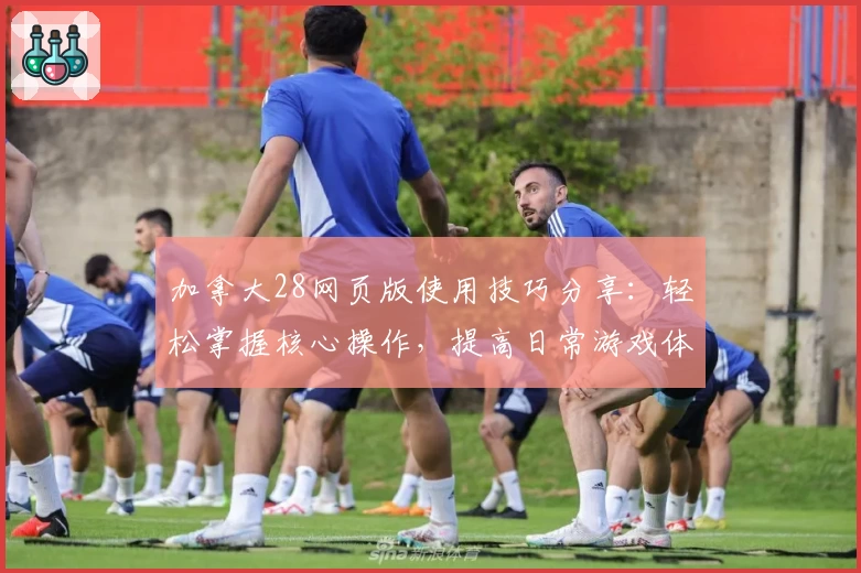 加拿大28网页版使用技巧分享：轻松掌握核心操作，提高日常游戏体验